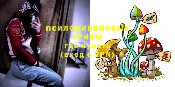 гашик Баксан
