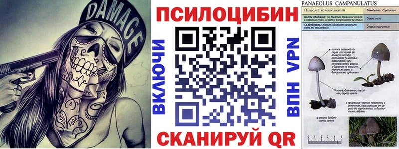 Псилоцибиновые грибы GOLDEN TEACHER  купить  сайты  ОМГ ОМГ tor  Кировск 