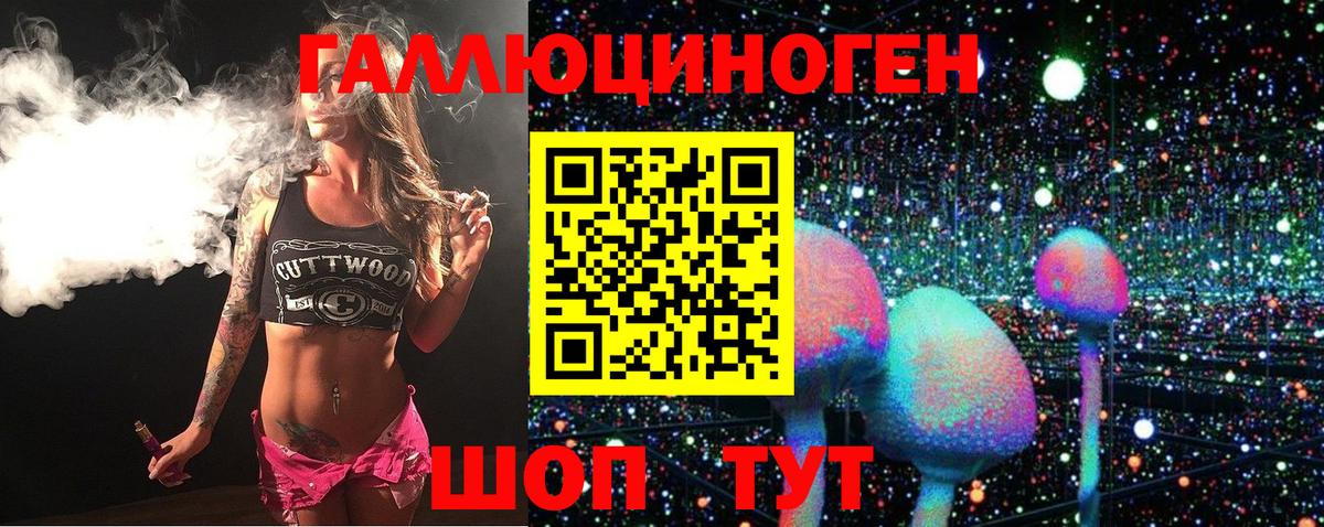 Кировск  где продают наркотики  Вход с VPN  Галлюциногенные грибы Cubensis 