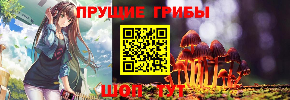 Галлюциногенные грибы прущие грибы Кировск